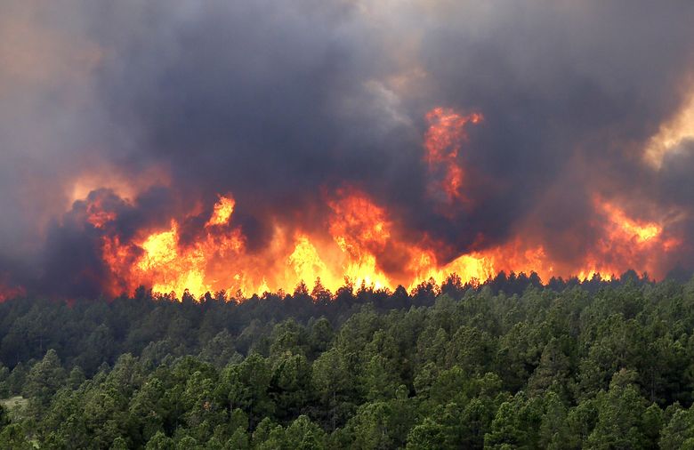 incendio-forestal