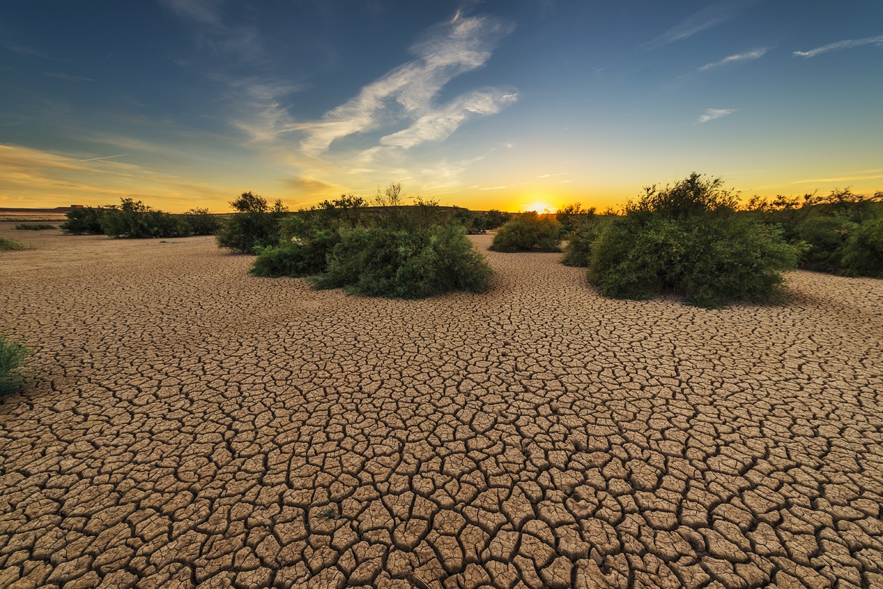 landscape-tree-nature-sand-horizon-cloud-491315-pxhere.com_