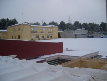 s6000631