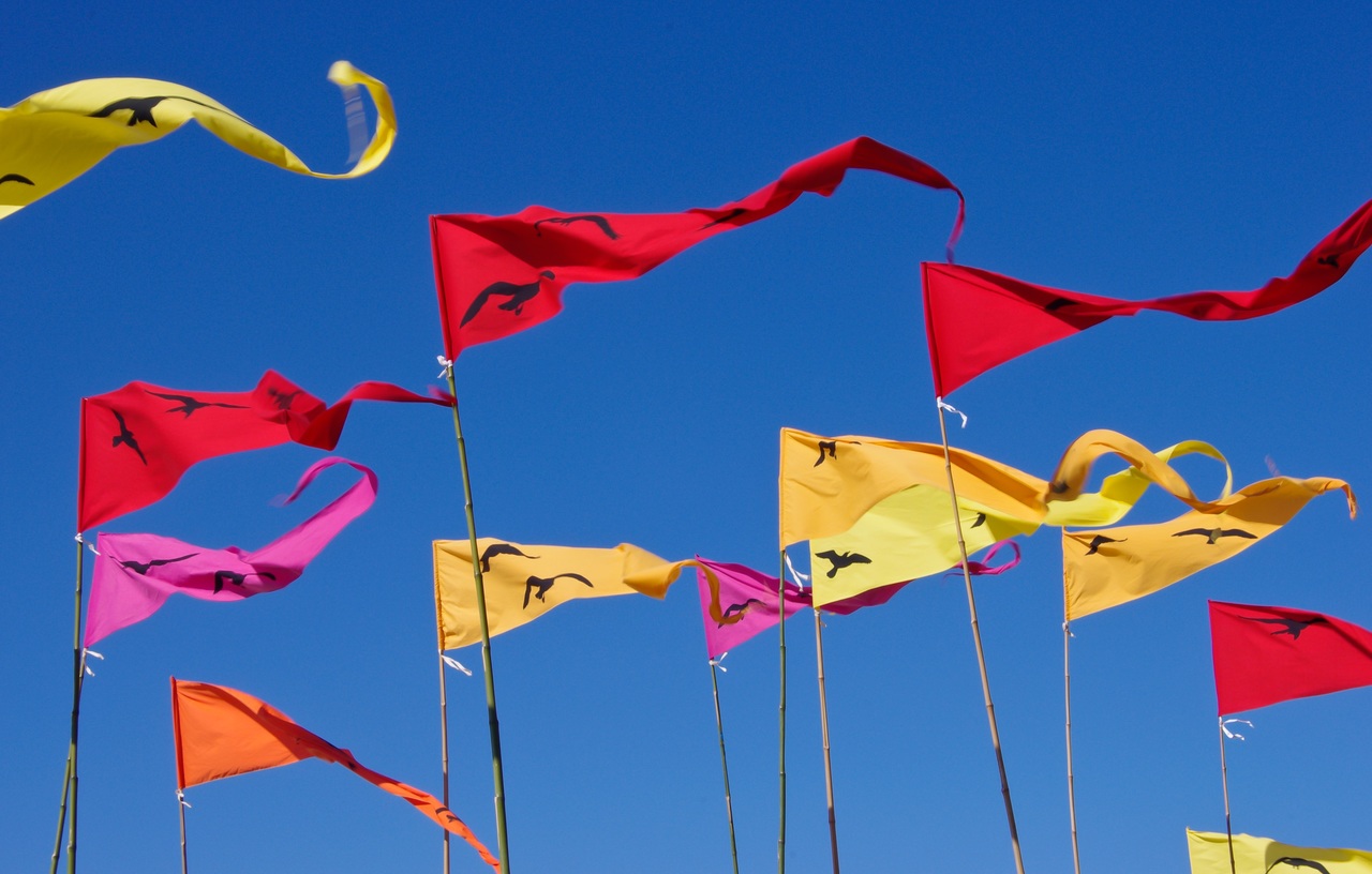 sky-flower-wind-red-colourful-color-941003-pxhere.com_