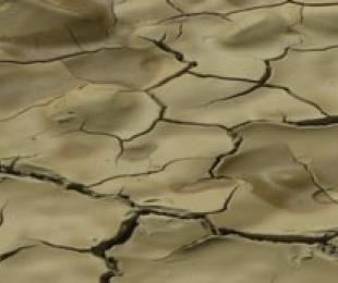 Desertificación tcm