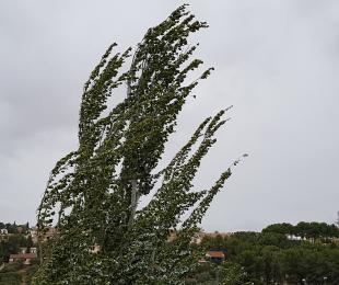 viento