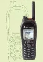 Tetra (2)