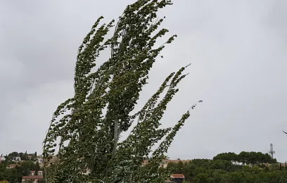 viento
