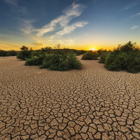 landscape-tree-nature-sand-horizon-cloud-491315-pxhere.com_