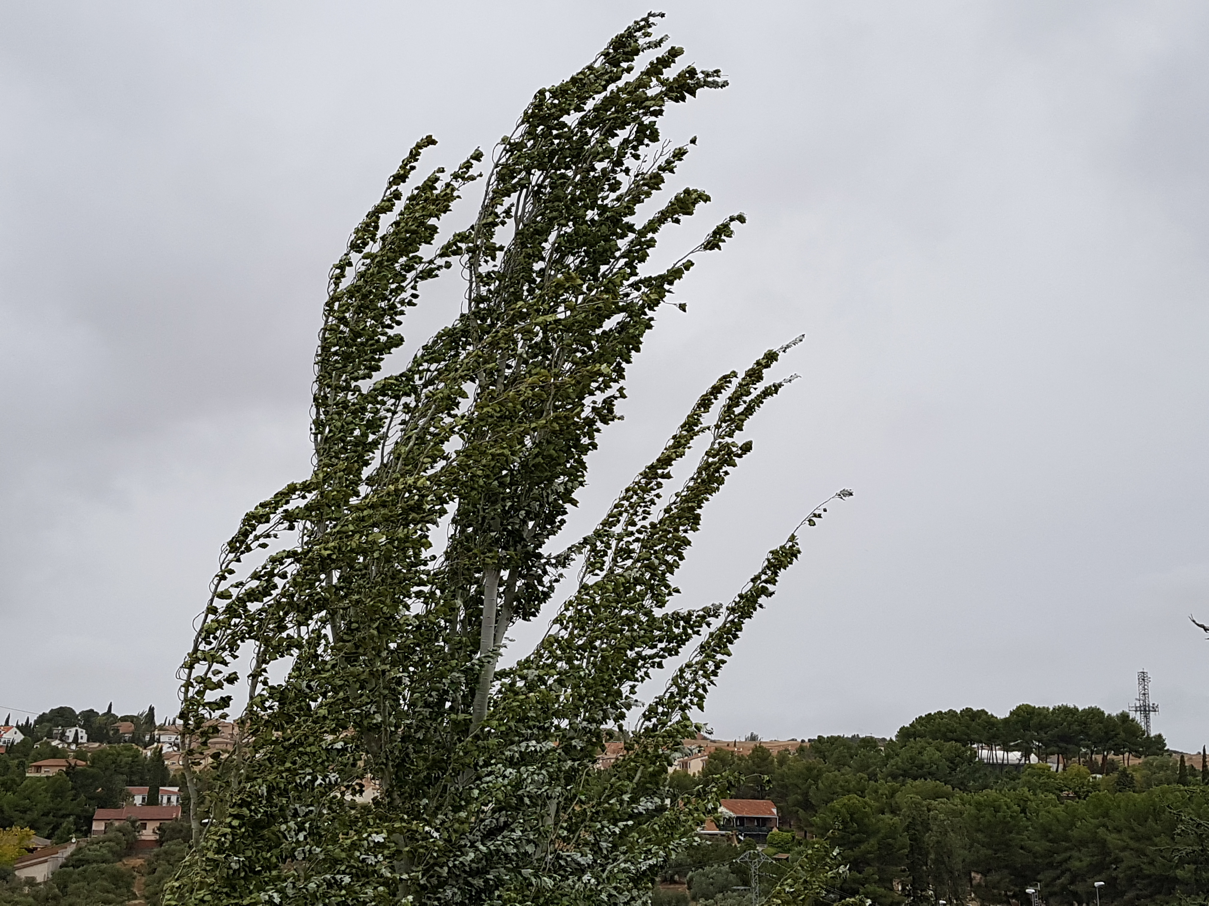 viento